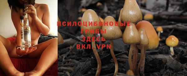 прущая мука Михайлов