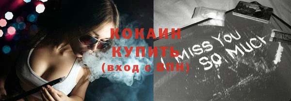 прущие грибы Михайловск