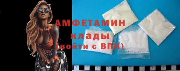 прущие грибы Михайловск