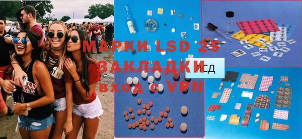 прущие грибы Михайловск