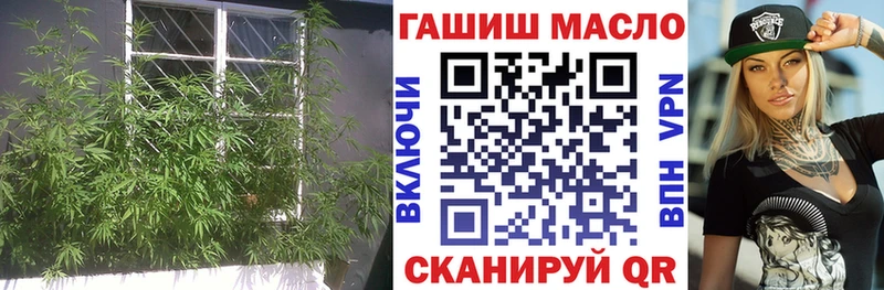 Дистиллят ТГК Wax  Власиха 
